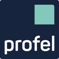 Profel Group logo - Similar company to Fygi