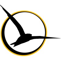 Swift Strategy & Transformation logo - Similar company to Evip Centrum Sp. Z O.O.