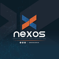 Nexos Software logo - Similar company to Novaip