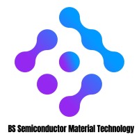 BS Semico logo - Similar company to Usains Holding Sdn Bhd