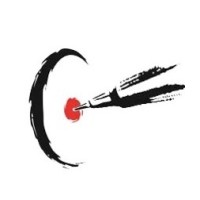 Bulls Eye Nashik Center logo - Similar company to Maxon Consulting Gmbh