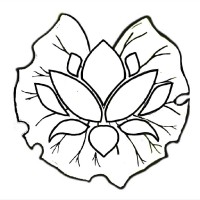 ZYDHNEY logo - Similar company to Nirvah