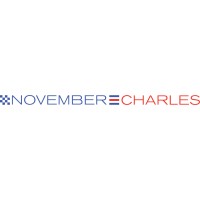 November Charles Consulting, LLC logo - Similar company to Connection Model