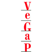 VEGAP logo - Similar company to Valunode Oü