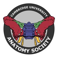 Cambridge University Anatomy Society logo - Similar company to Cambridge University Officer’S Training Corps