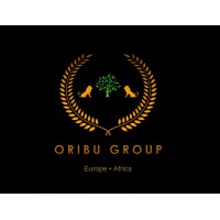 Oribu Group Ltd logo - Similar company to Solid