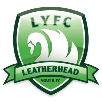Leatherhead Youth Football Club logo - Similar company to Aucune