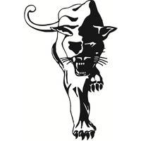 Wildkat Precision LLC