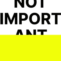 Not Important Studio logo - Similar company to Shepherd