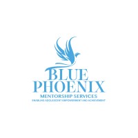 Blue Phoenix Mentorship Services logo - Similar company to Sociopúblico