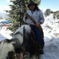 Panchal Holidays logo - Similar company to Anarghyaa.Com