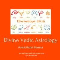 Divine Vedic Astrology logo - Similar company to Catheryn Astrology Llc