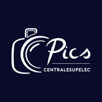 Pics logo - Similar company to Dsfords