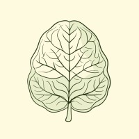 The Chhaya Organisation logo - Similar company to Nirvritti Initiative