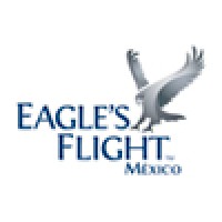 Eagle's Flight México logo - Similar company to Exdy®