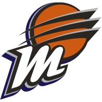 Phoenix Mercury logo - Similar company to Phoenix Suns