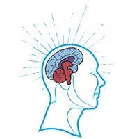 Business Brain Consulting logo - Similar company to Business Success Solution