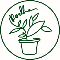 Podha logo - Similar company to Access Studios