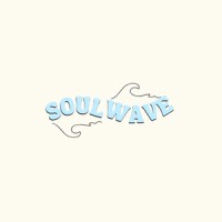 Project Soul Wave logo - Similar company to Medheed