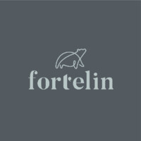 Fortelin Creative Studio logo - Similar company to Velintech - Mobile App Development / Web Application / Cloud Application Development