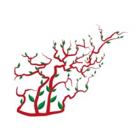 Voice of The Afghan People (VAP) logo - Similar company to Bold Her Voice