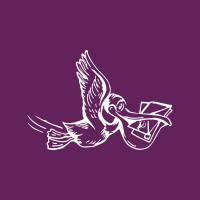 Wise Pelican logo - Similar company to Stream Capital