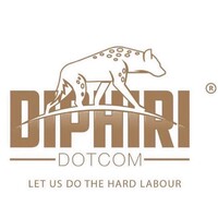 DIPHIRIDOTCOM logo - Similar company to Collective Intelligence Sa