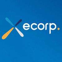 Ecorp Systems logo - Similar company to Reach Hr