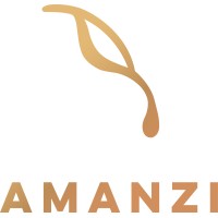 Amanzi Applied Engineering