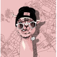 The Mouthy Llama Marketing Agency logo - Similar company to Scale On Socials