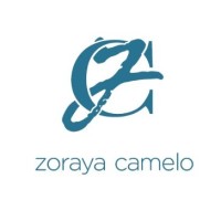 Zoraya Camelo - B2B Sales & Marketing logo - Similar company to Rochi | Knowledge & Insights