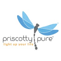 Priscotty Pure® logo - Similar company to Priscotty™