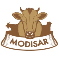Modisar, Inc. logo - Similar company to Africa Code Academy