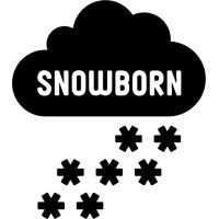 Snowborn Games logo - Similar company to Stormcraft Studios