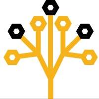 Box of Amazing logo - Similar company to Etonx