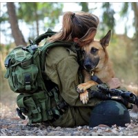 IDF logo - Similar company to Israeli Military Intelligence - Unit 8200