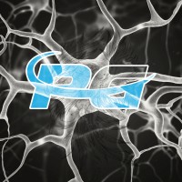 PG INCorporated logo - Similar company to Qt2 Systems, Llc