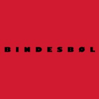 Bindesbøl logo - Similar company to Scanovus