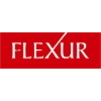 Flexur Systems logo - Similar company to Seligent Consulting Private Limited