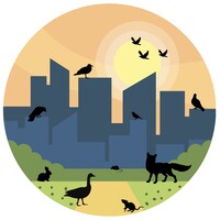 Animo Animalis logo - Similar company to Chicha Vegan Milkshakes