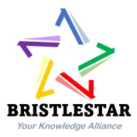Bristlestar logo - Similar company to Project Solutions