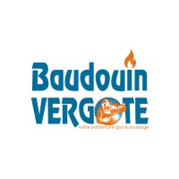 Baudouin Vergote logo - Similar company to Idal Umds Sp. Z O.O.