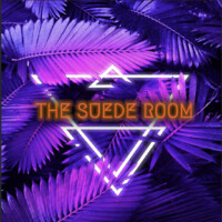 The Suede Room logo - Similar company to The Audioroom