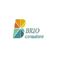 Brio Consulting logo - Similar company to Brio Consulting