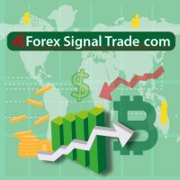 Forex Signal Trade logo - Similar company to Eg-Finance Fx