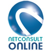 Netconsult Online Ltd logo - Similar company to Netconsult Gmbh