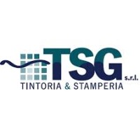 TSG Tintoria Srl logo - Similar company to Orn Srl