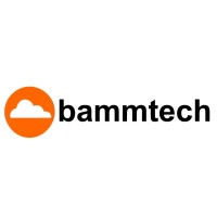 Bammtech Chile logo - Similar company to Bammtech - Bamm Technologies Llc