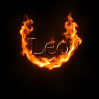 leolandin.org logo - Similar company to Sequoia Films