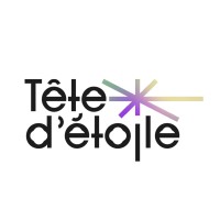 Tête d'étoile logo - Similar company to Tom & Tom